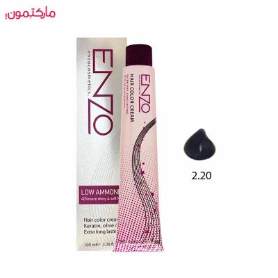 رنگ مو انزو شماره 2.20 رنگ بنفش تیره 100 میلی لیتر
