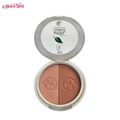 رژگونه و هایلایتر ویتال شماره B01