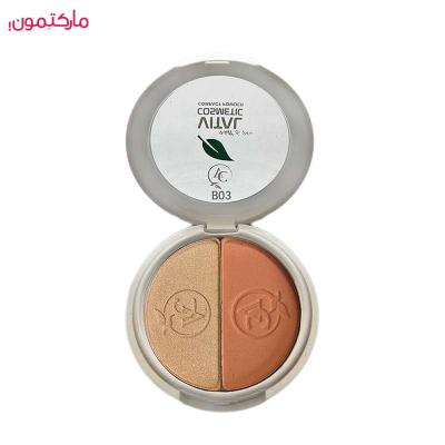 رژگونه و هایلایتر ویتال شماره B03